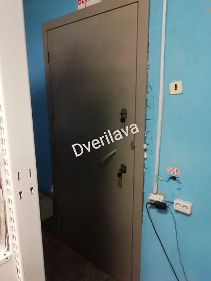 Техническая дверь однопольная серого цвета