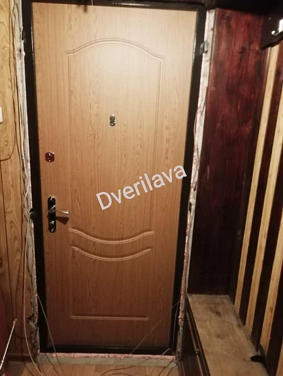 Входная металлическая дверь в квартиру Е-профиль