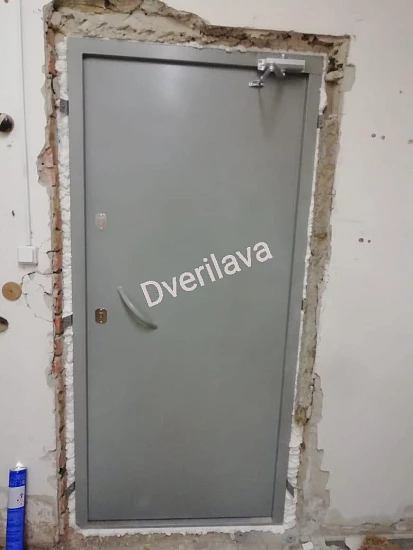 Дверь однопольная серая с порошковым напылением