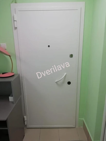 Однопольная техническая дверь